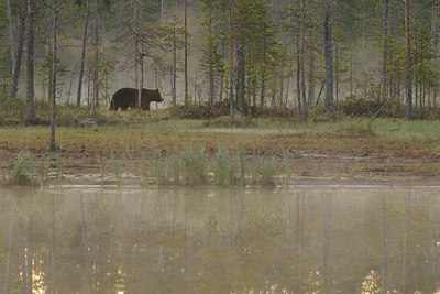 BUITEN BEELD Foto: 38376