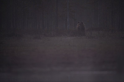 BUITEN BEELD Foto: 38378