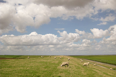 BUITEN BEELD Foto: 38386