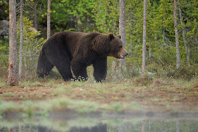 BUITEN BEELD Foto: 38387
