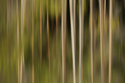 BUITEN BEELD Foto: 38391