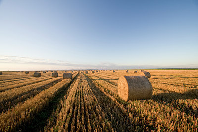 BUITEN BEELD Foto: 38451