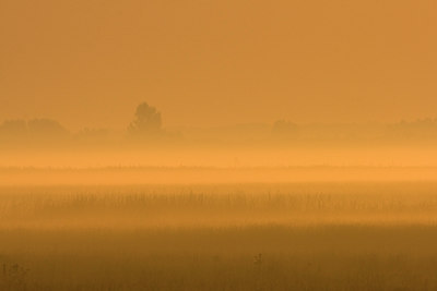 BUITEN BEELD Foto: 38477