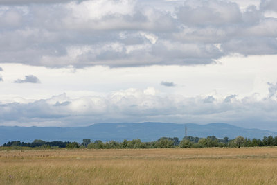BUITEN BEELD Foto: 38485