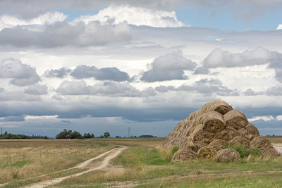 BUITEN BEELD Foto: 38487