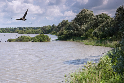 BUITEN BEELD Foto: 38550