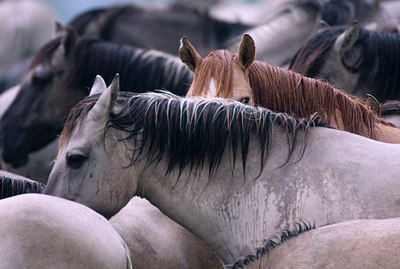 BUITEN BEELD Foto: 38557