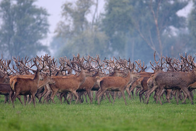 BUITEN BEELD Foto: 38558
