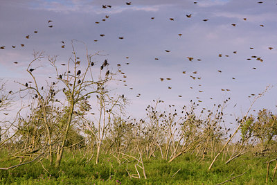 BUITEN BEELD Foto: 38575