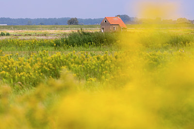 BUITEN BEELD Foto: 38596