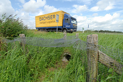 BUITEN BEELD Foto: 38658