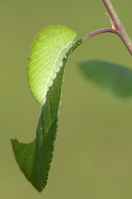 BUITEN BEELD Foto: 38660