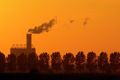 BUITEN BEELD Foto: 38664