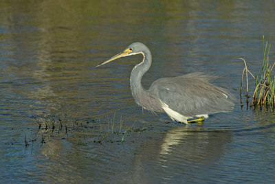 BUITEN BEELD Foto: 38674