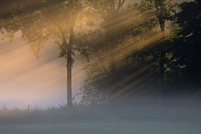 BUITEN BEELD Foto: 38745