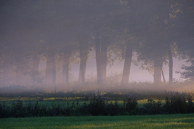 BUITEN BEELD Foto: 38747