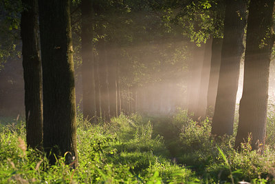 BUITEN BEELD Foto: 38748