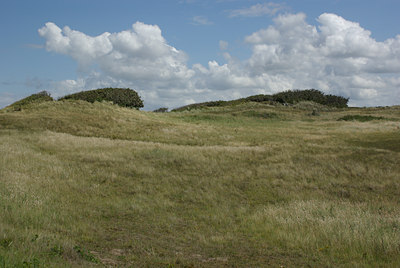 BUITEN BEELD Foto: 38776