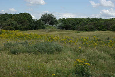 BUITEN BEELD Foto: 38780