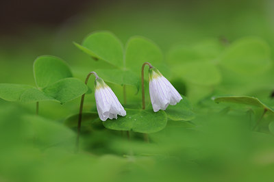 BUITEN BEELD Foto: 38787