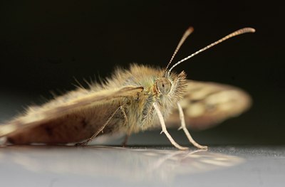 BUITEN BEELD Foto: 38793