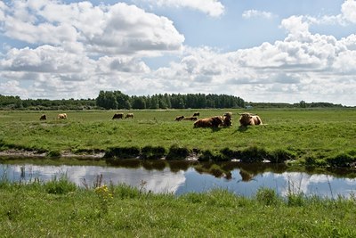 BUITEN BEELD Foto: 38826