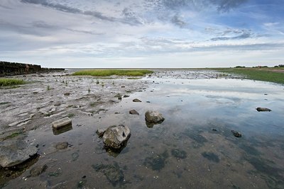 BUITEN BEELD Foto: 38831