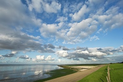 BUITEN BEELD Foto: 38835