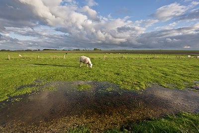 BUITEN BEELD Foto: 38836