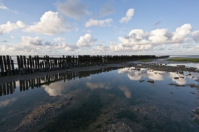 BUITEN BEELD Foto: 38837
