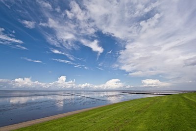 BUITEN BEELD Foto: 38850