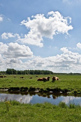 BUITEN BEELD Foto: 38870