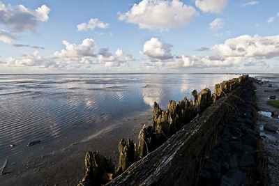 BUITEN BEELD Foto: 38885