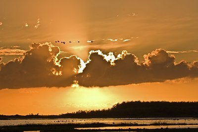 BUITEN BEELD Foto: 38893