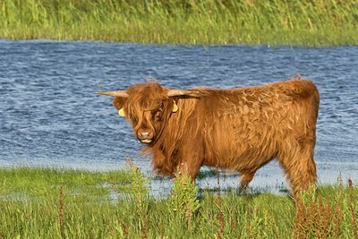 BUITEN BEELD Foto: 38895