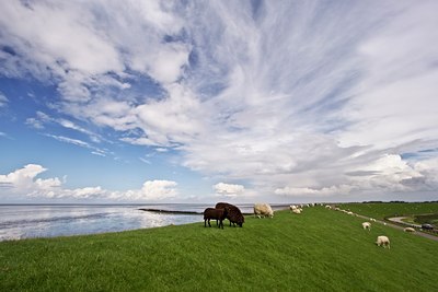 BUITEN BEELD Foto: 38900