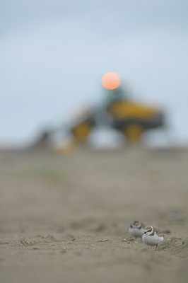 BUITEN BEELD Foto: 38932