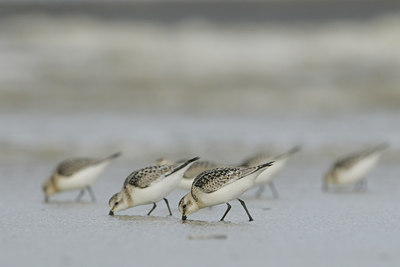BUITEN BEELD Foto: 38965