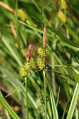 BUITEN BEELD Foto: 391914