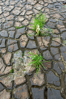 BUITEN BEELD Foto: 392343