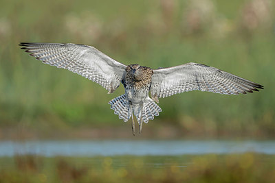 BUITEN BEELD Foto: 392410