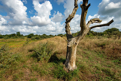 BUITEN BEELD Foto: 392971