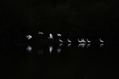 BUITEN BEELD Foto: 393011