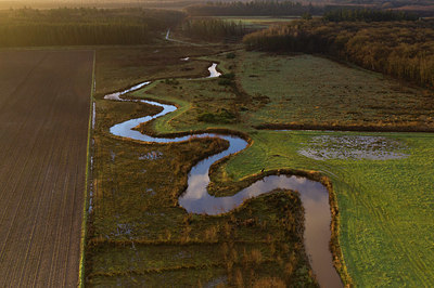 BUITEN BEELD Foto: 393465