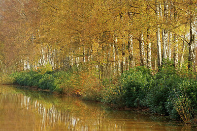 BUITEN BEELD Foto: 393735