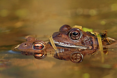 BUITEN BEELD Foto: 393769