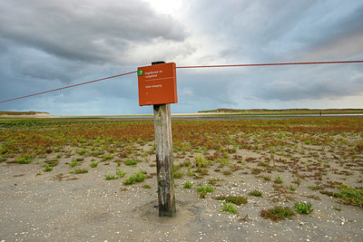 BUITEN BEELD Foto: 394162