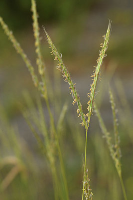 BUITEN BEELD Foto: 394814