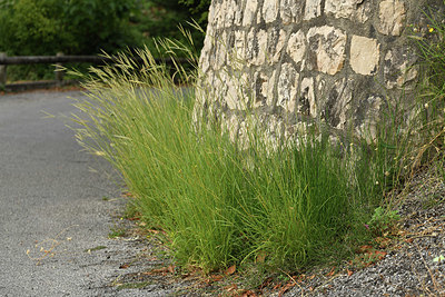 BUITEN BEELD Foto: 394815