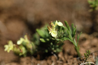 BUITEN BEELD Foto: 394852